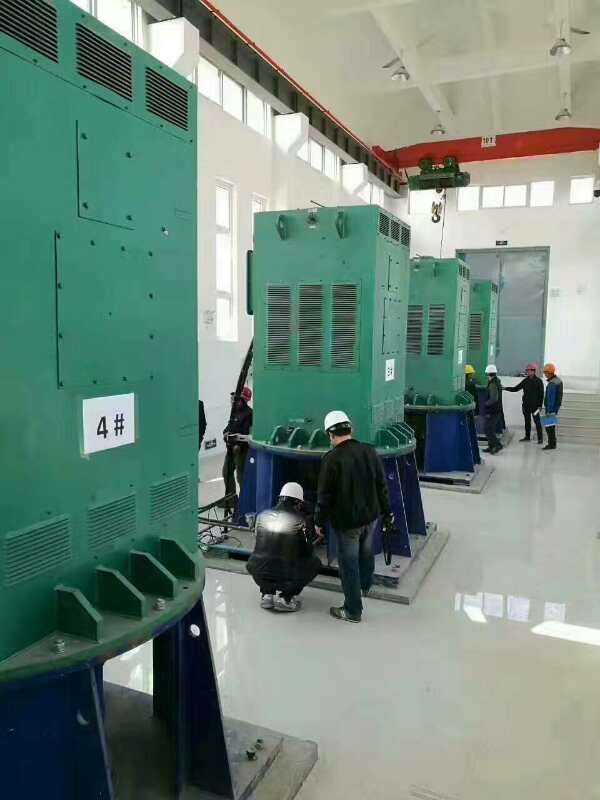 滨州某污水处理厂使用我厂的立式高压电机安装现场