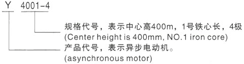 西安泰富西玛Y系列(H355-1000)高压滨州三相异步电机型号说明